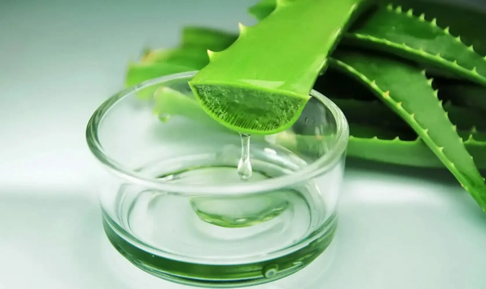 aloe vera flower skin care