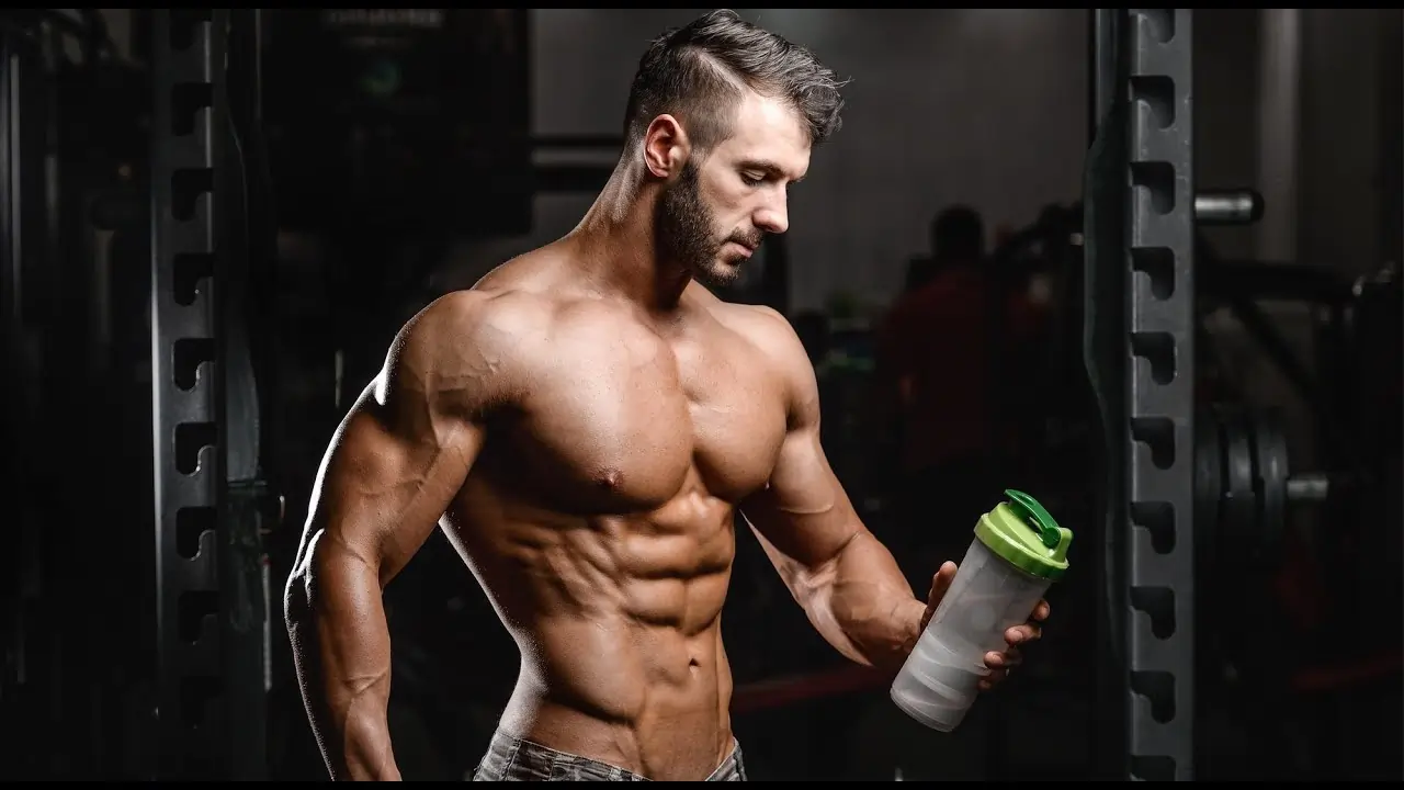 creatine muscle gain